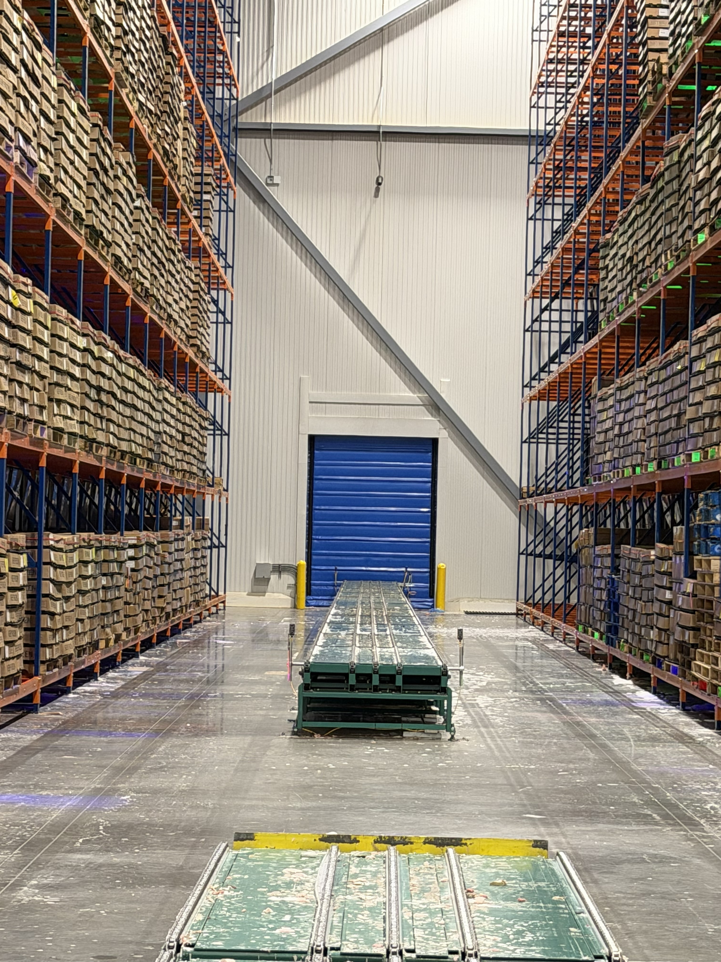 Blue High Speed Door AUTO MOSSA in Cool store facility, Long Shot