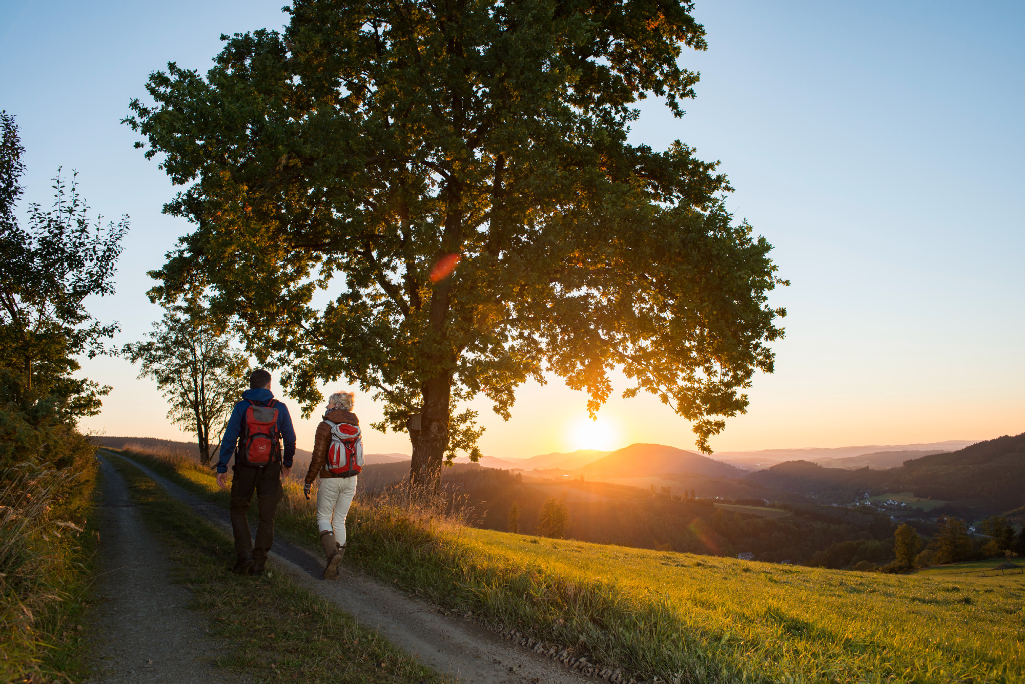 Durch stille Dörfer, weite Wiesen und ursprüngliche Landschaften führen die Golddorf-Routen – eine Wanderung, die das Sauerland von seiner ruhigen Seite zeigt.
