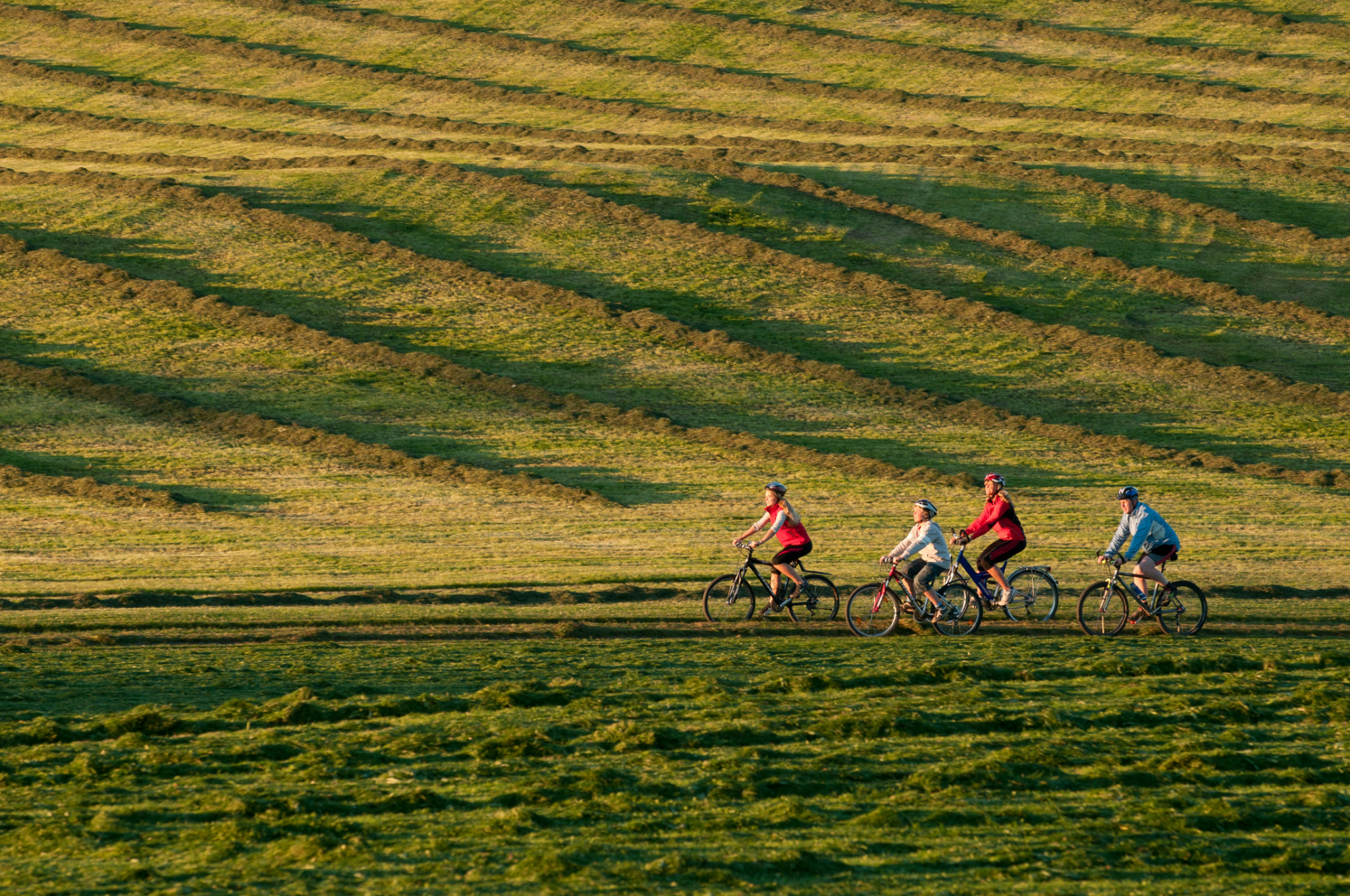 Lenne-Schiene und SauerlandRadring verbinden Natur, Bewegung und Weite – ideal für genussvolle Touren, auch mit dem E-Bike.