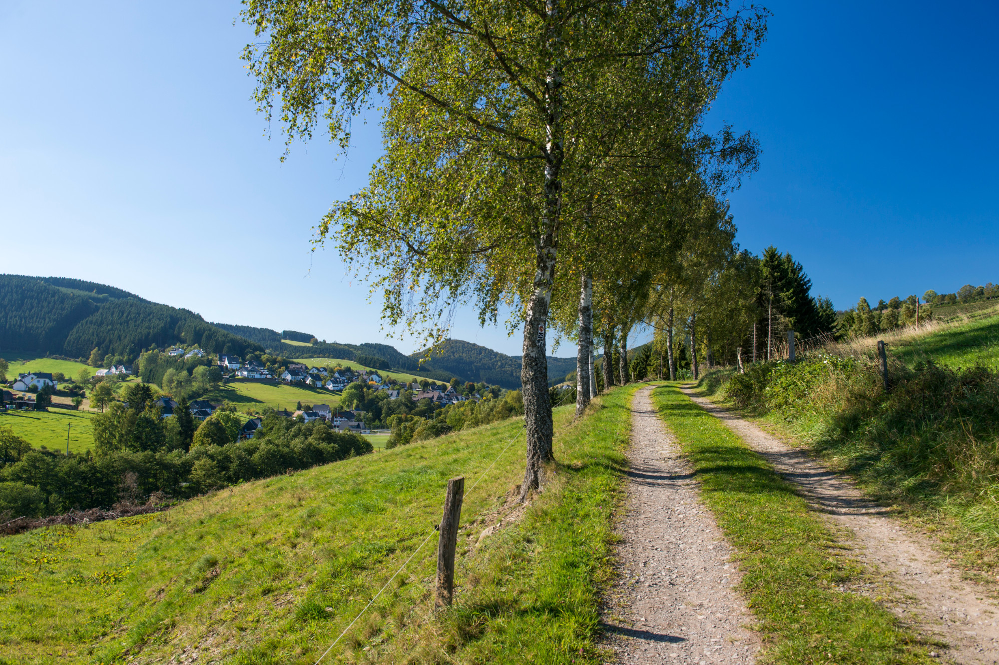 Morgens durchatmen, die Ruhe genießen und einfach losgehen – der perfekte Start in den Tag im Sauerland.