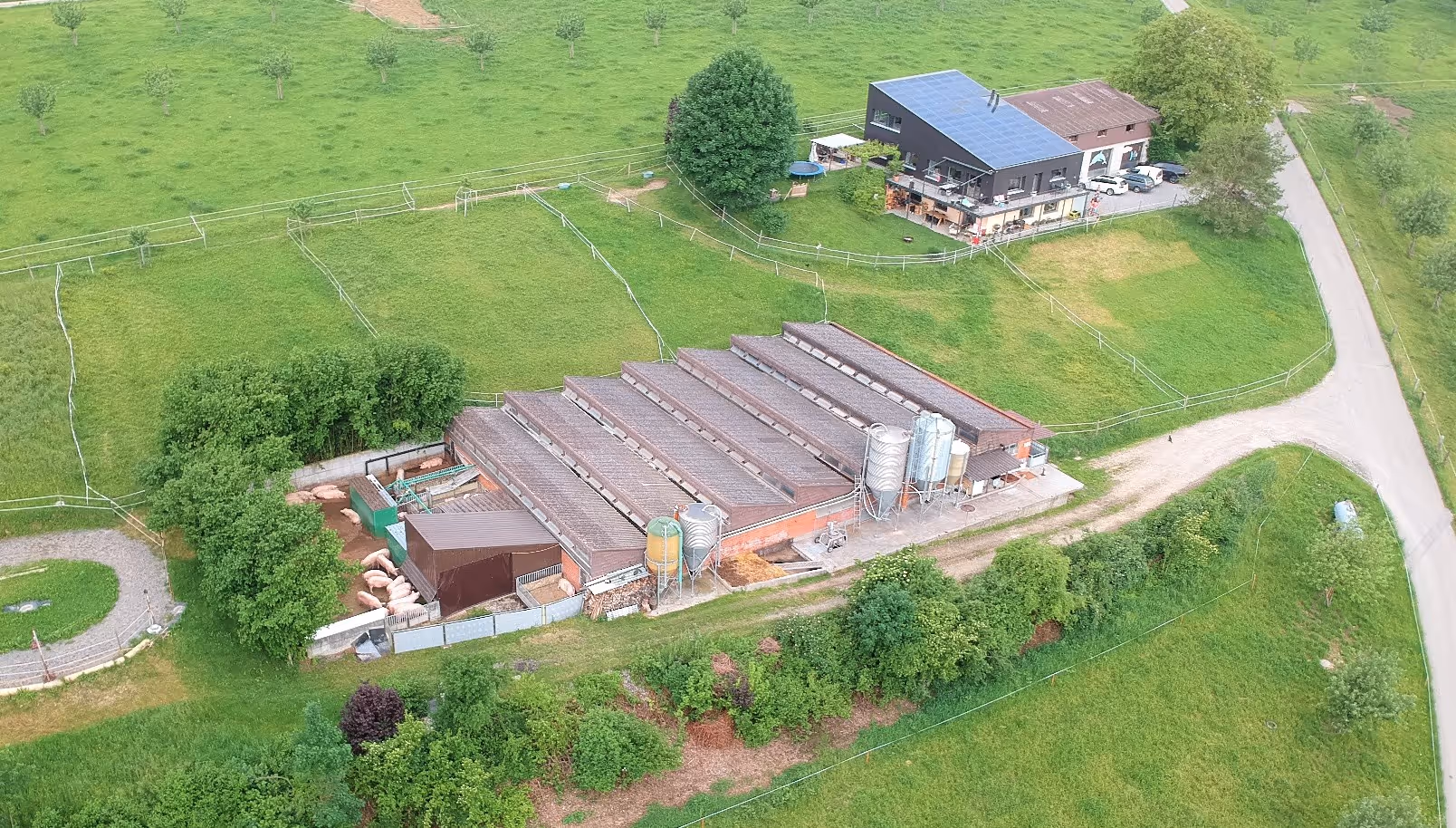 Luftaufnahme eines landwirtschaftlichen Betriebs mit einem großen Stallschuppen, mehreren Silos und einem modernen Wohnhaus mit Solarpaneelen auf dem Dach, umgeben von grünen Wiesen und einem gepflasterten Weg.