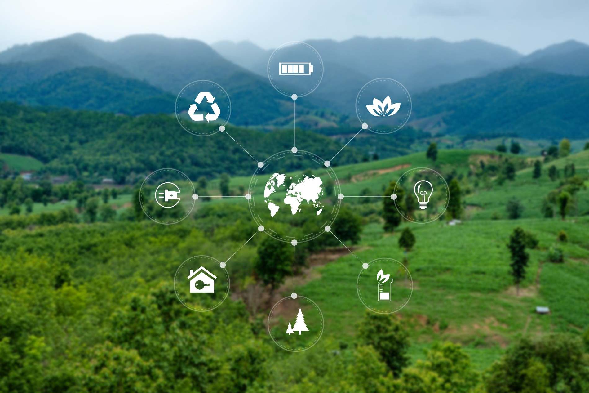 best sustainability software for utilities
