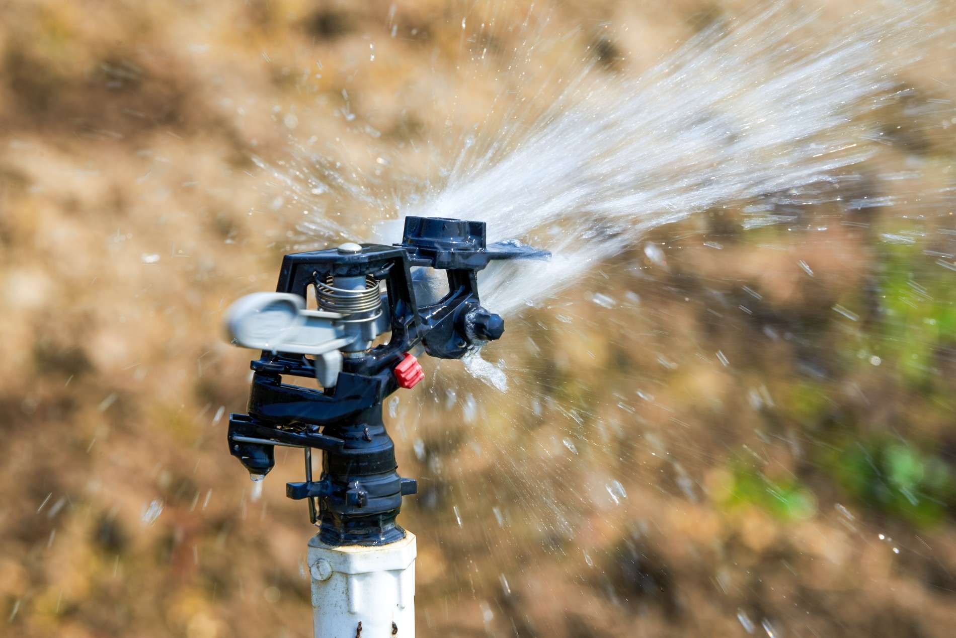 parks irrigation water billing