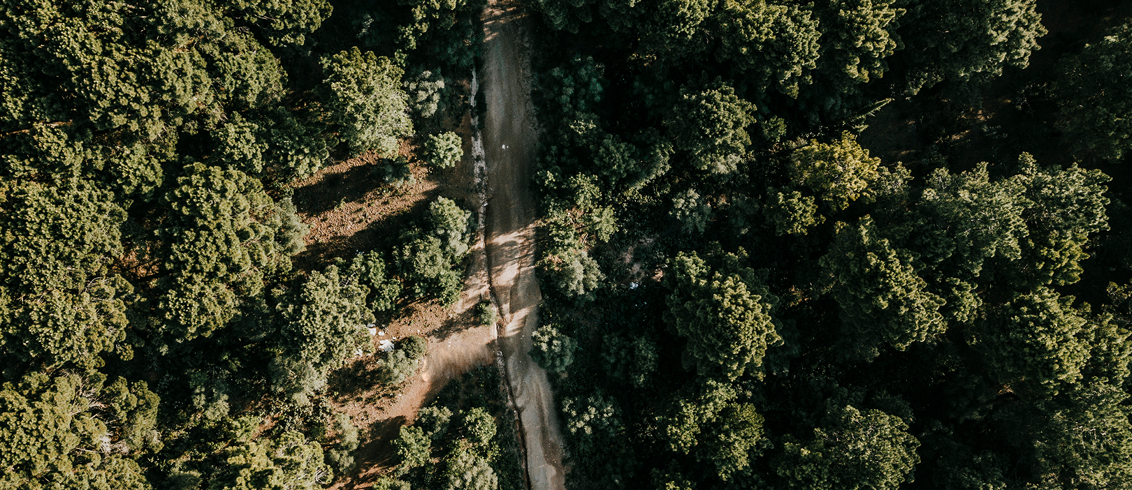 Services Single Image