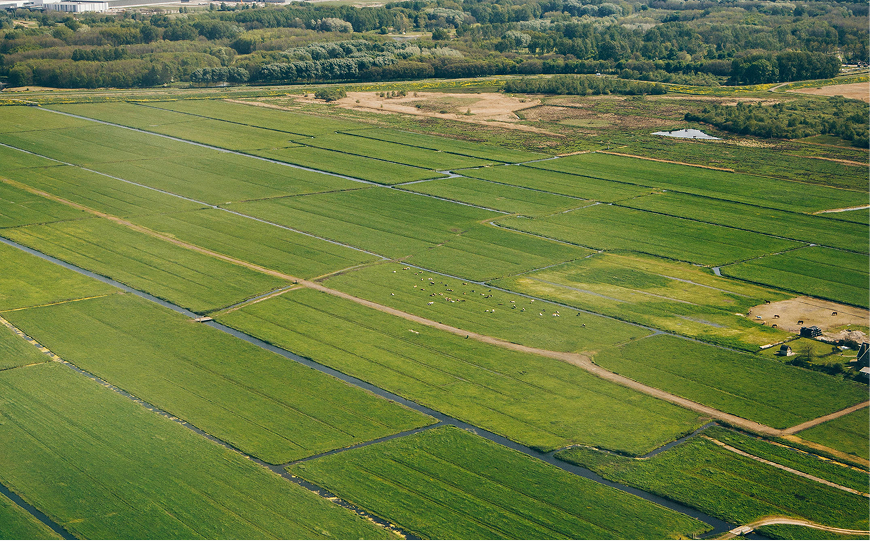 Services Details Image