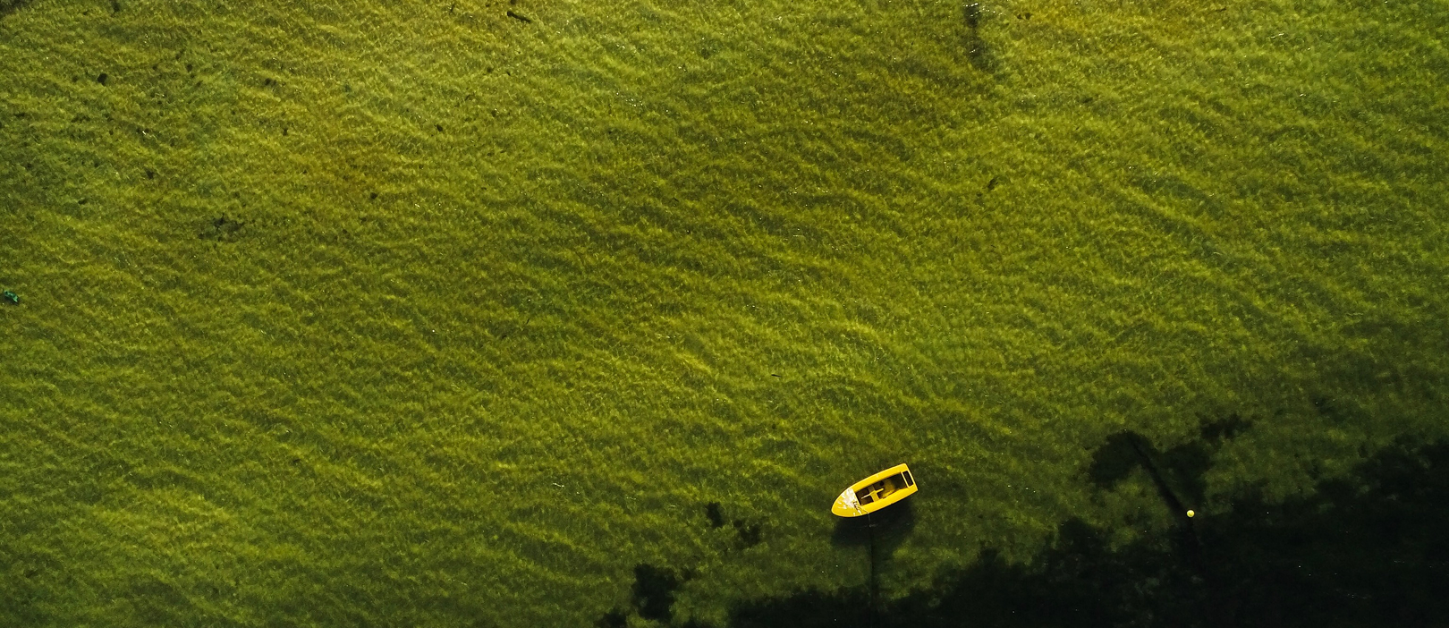 Services Single Image