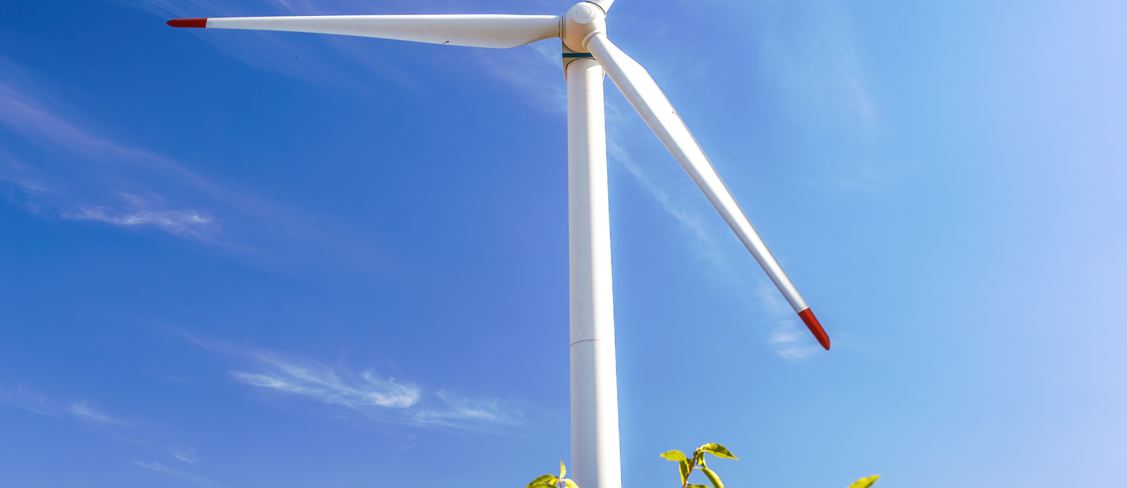 Services Single Image