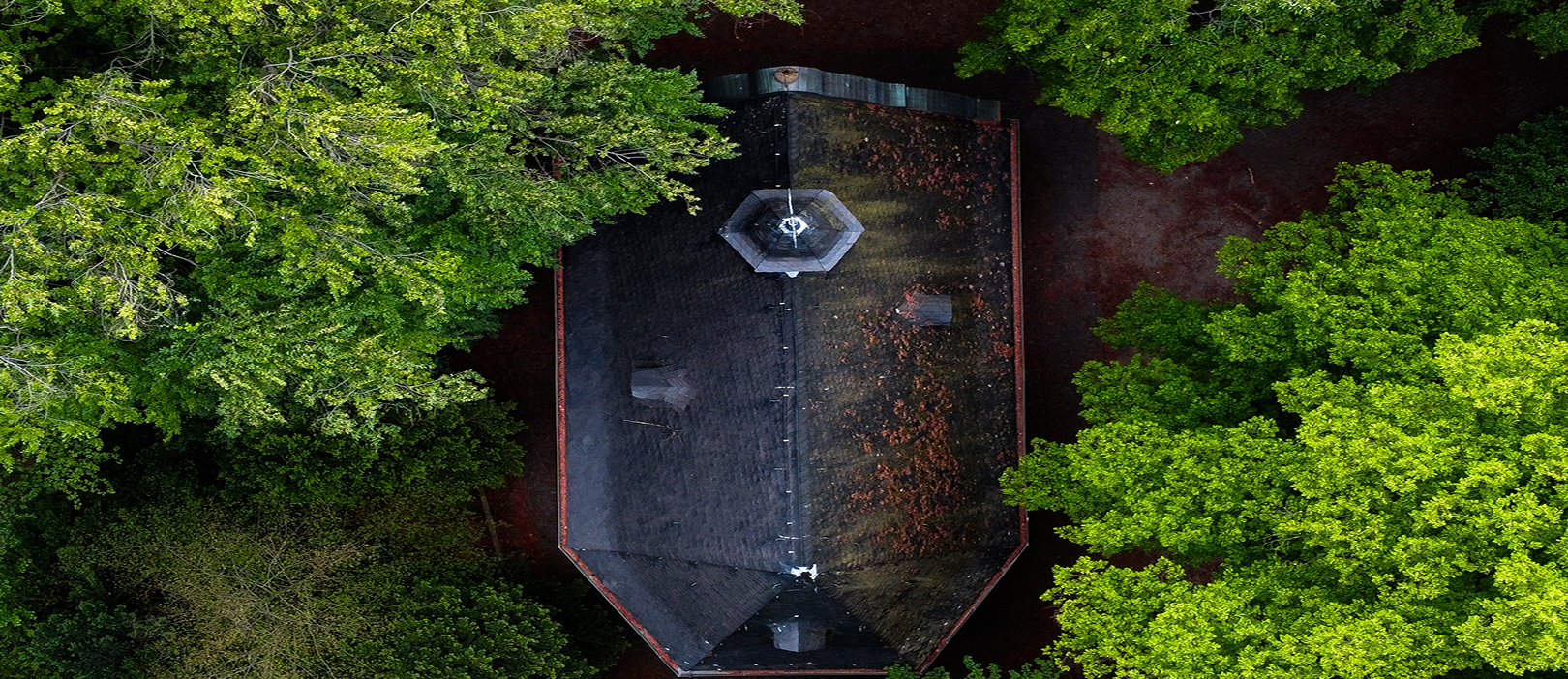 Projects Single Image