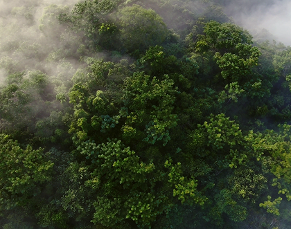 Projects Details Image