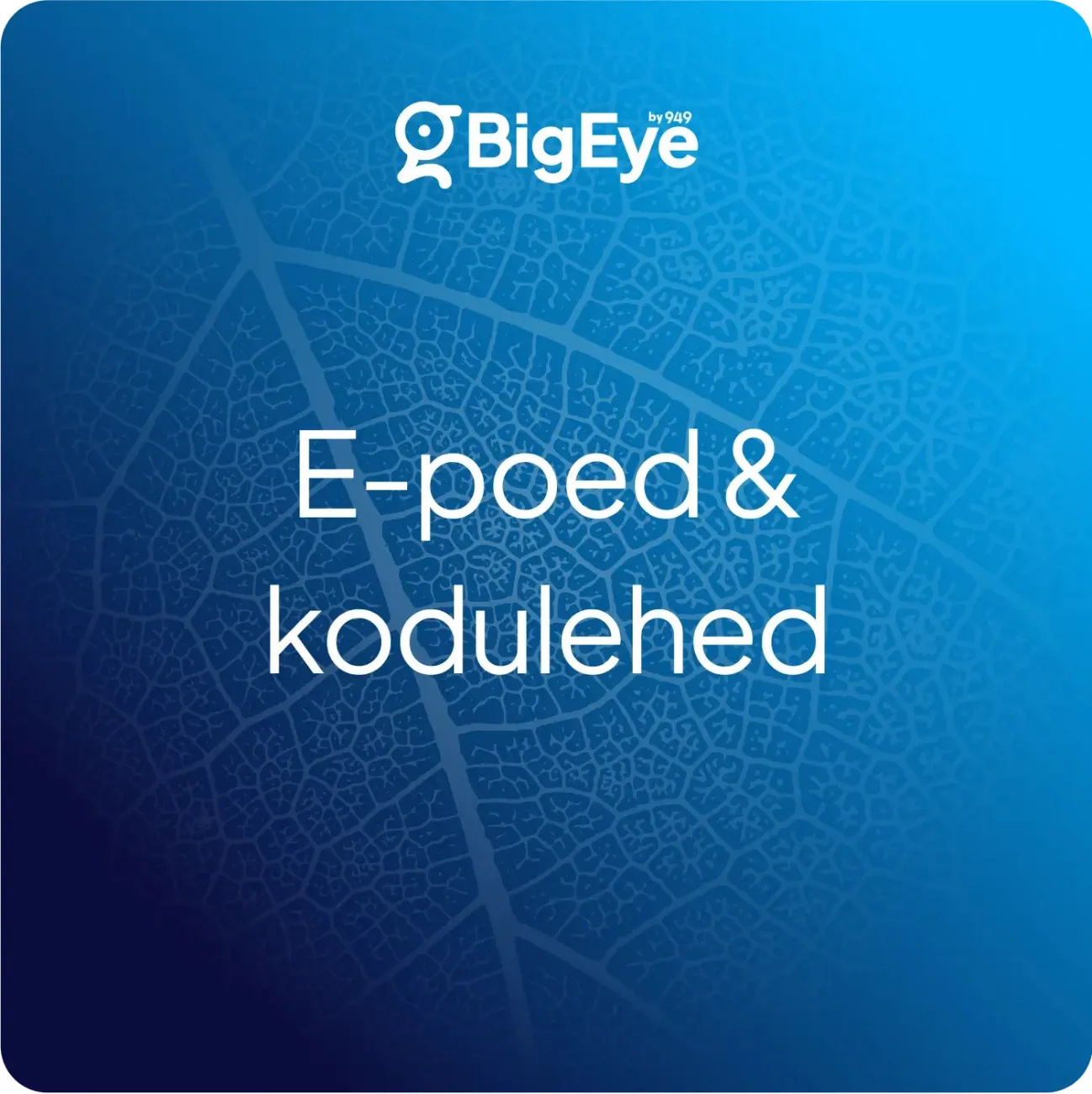 BigEye logo with text 'E-pood & kodulehed' on blue background featuring a leaf vein pattern.