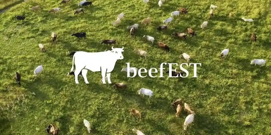 Beefesti veebilehe avaleht