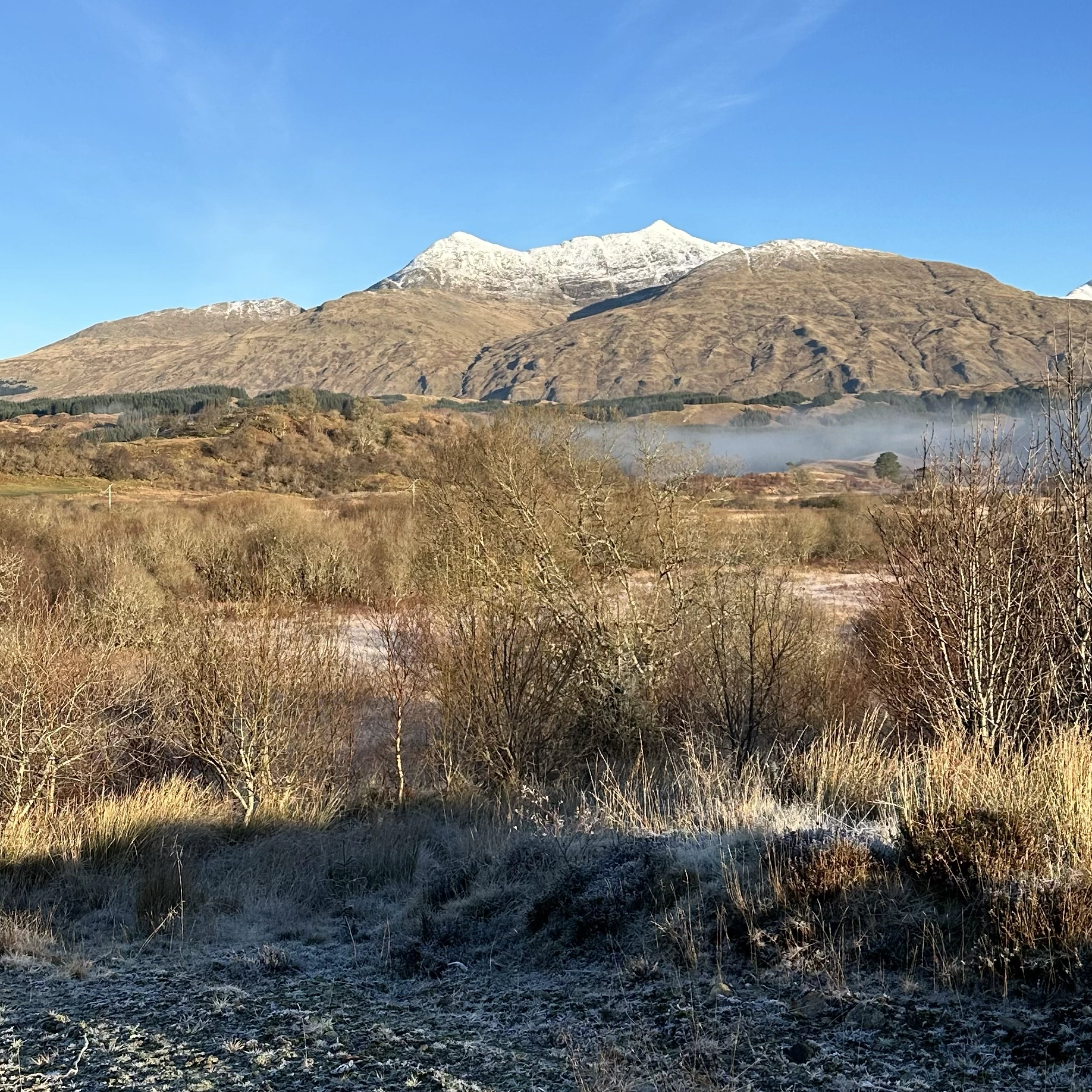 Snow-capped mountain range under a clear blue sky with frosty grass and bare trees in the foreground.