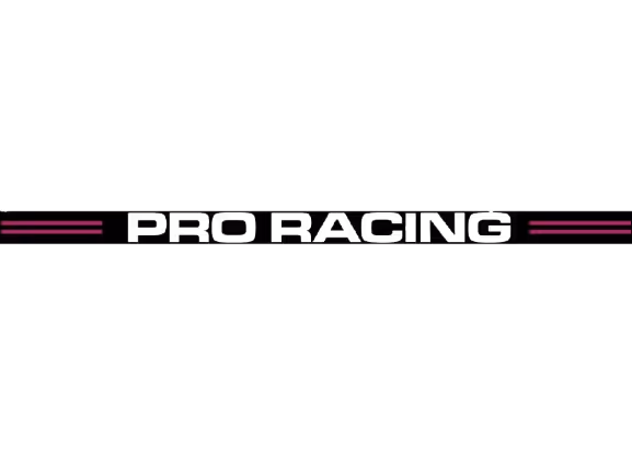 Logo ProRacing