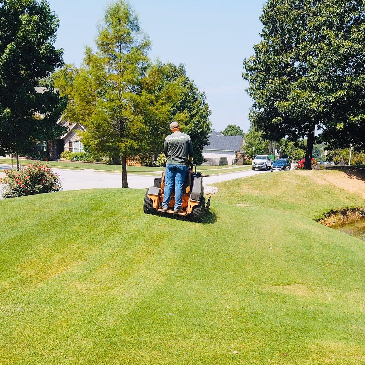 Freshly mowed lawn with clean striping by Platinum Landscape