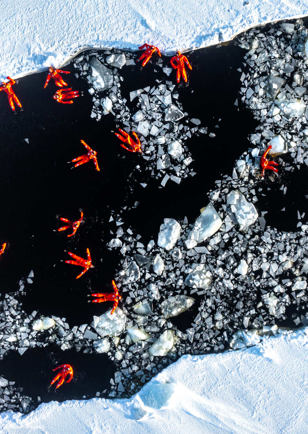 Aerial view of multiple people in bright orange survival suits floating on dark water surrounded by broken ice sheets and snowy ice edges.