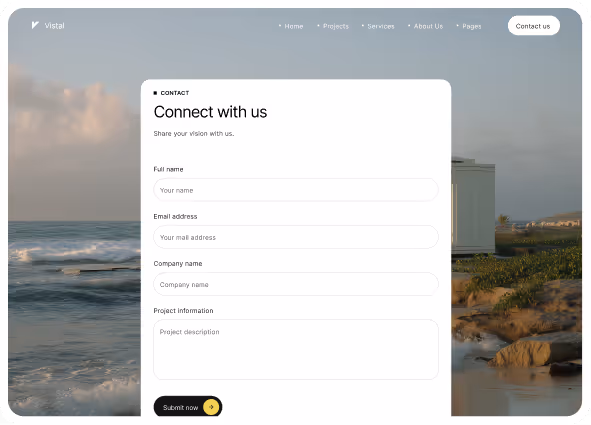 Website contact form titled 'Connect with us' over a coastal ocean background with fields for full name, email, company name, and project information.