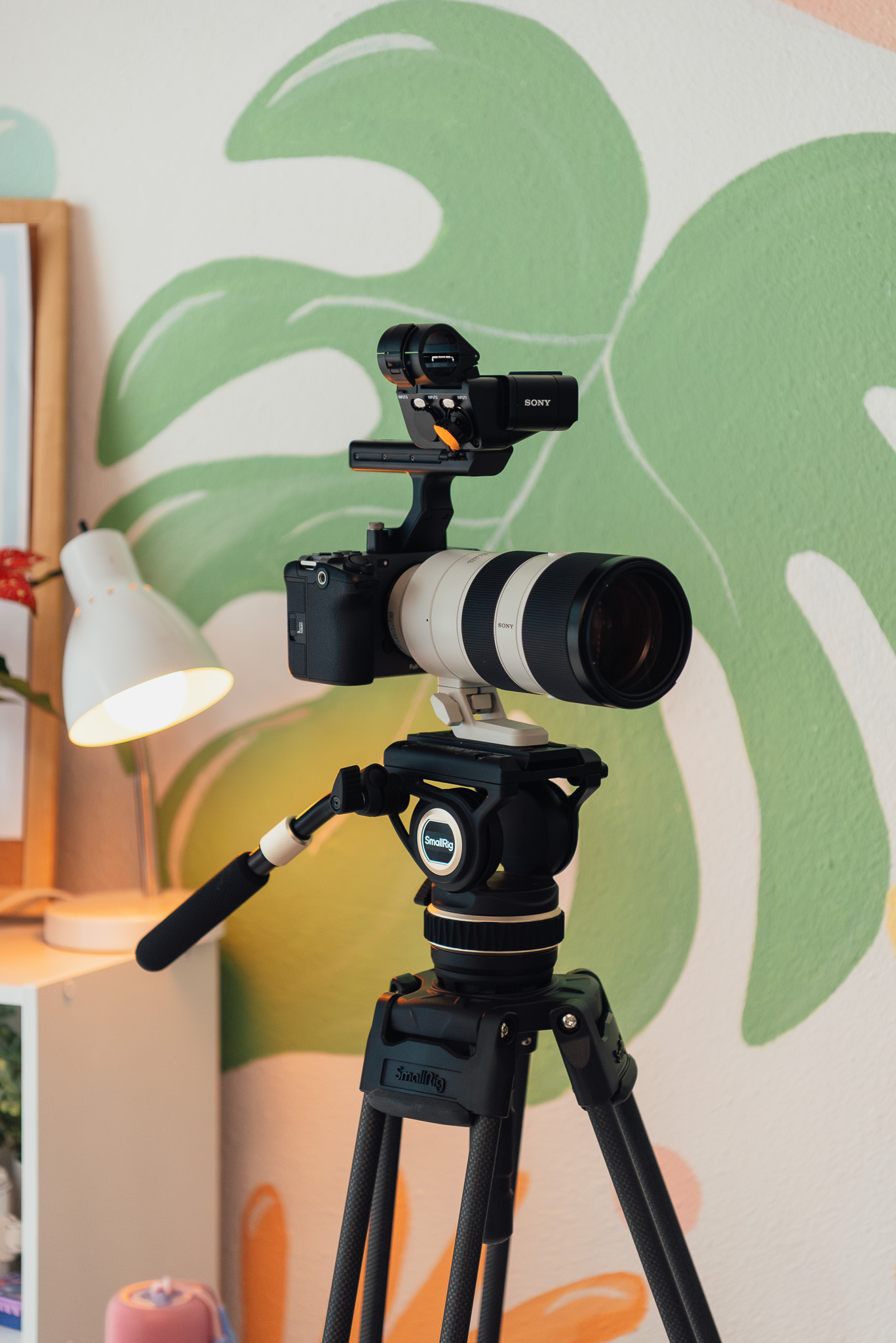 Sony camera with a large telephoto lens mounted on a SmallRig tripod in front of a wall with a green leaf mural and a lit white desk lamp nearby.