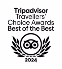 trip advisor traveller award 2034