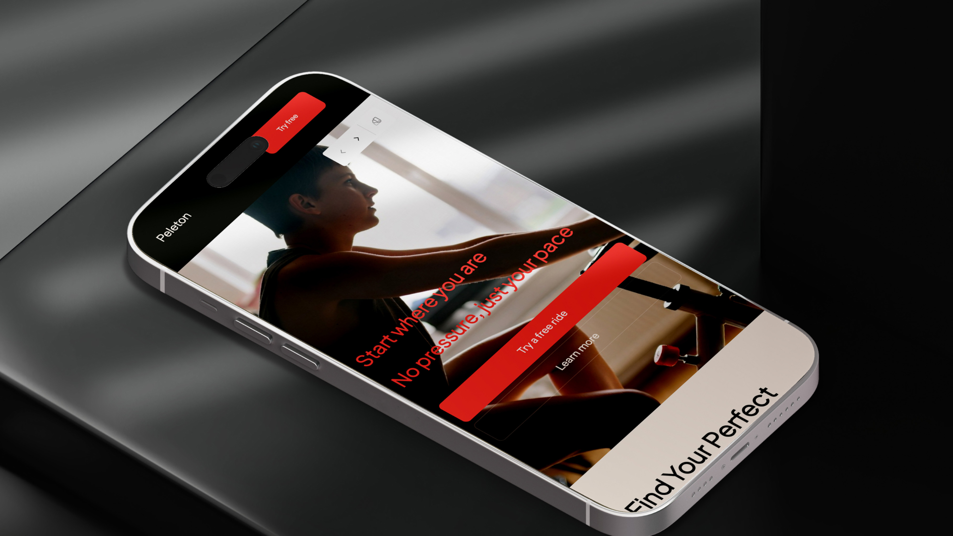 image of curated seasonal dishes for a modern restaurant