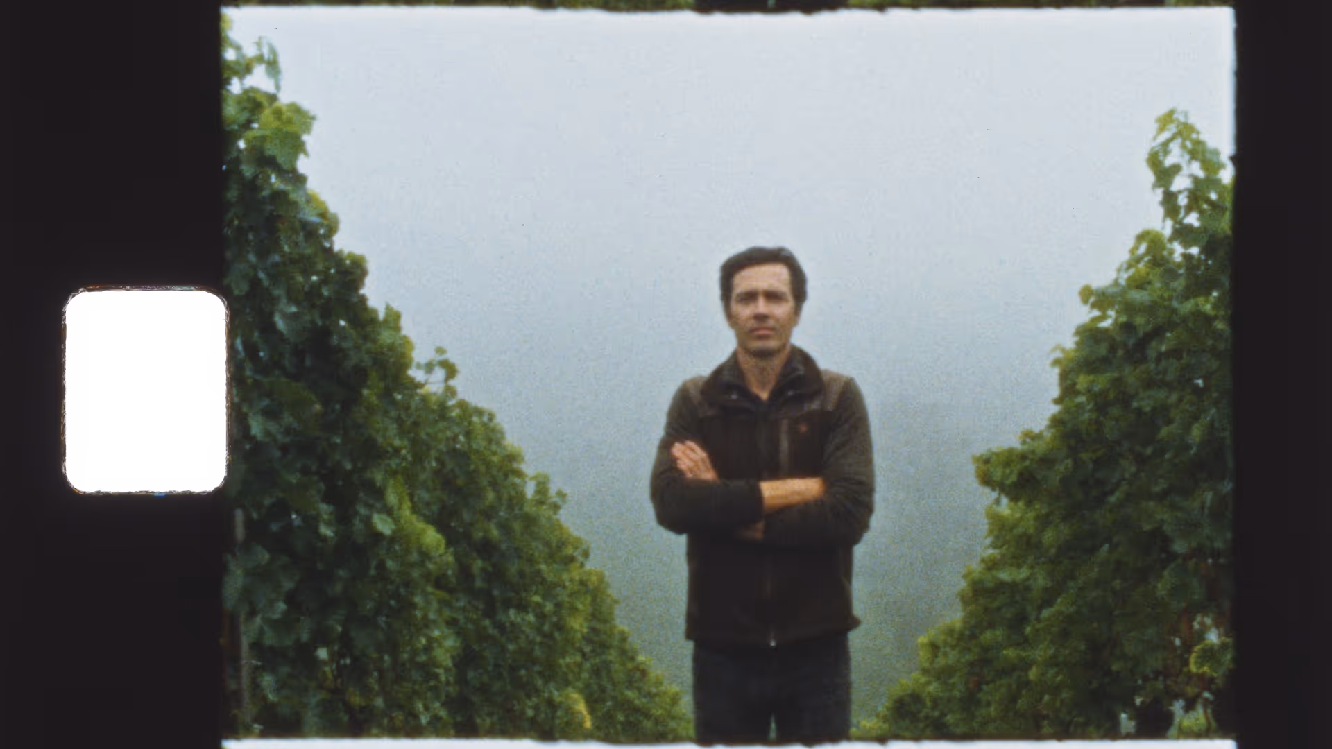 person standing outdoors in misty winery setting