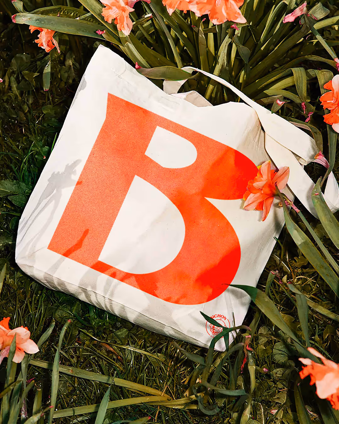 Description visuelle de ce que montre l'image