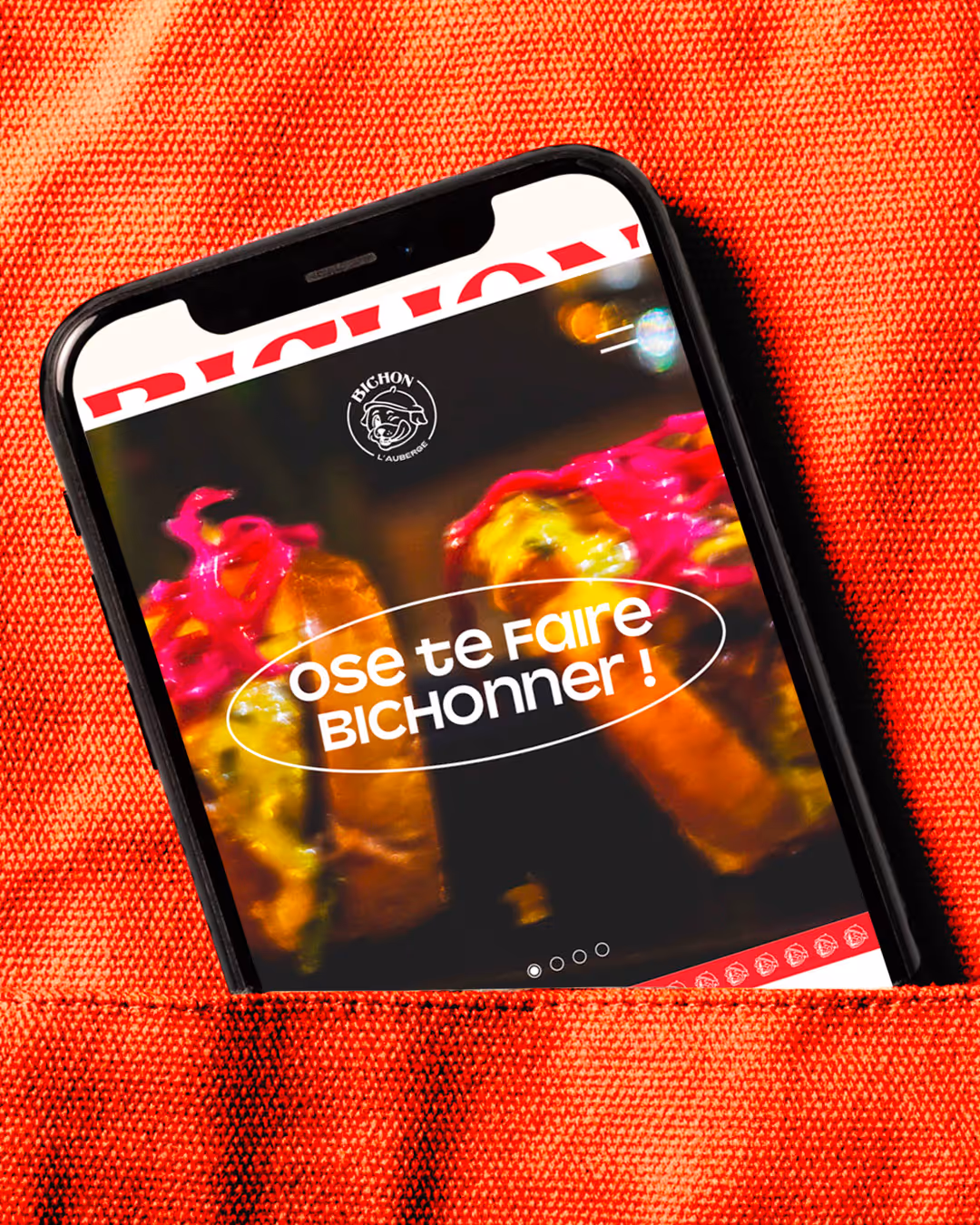 Description visuelle de ce que montre l'image