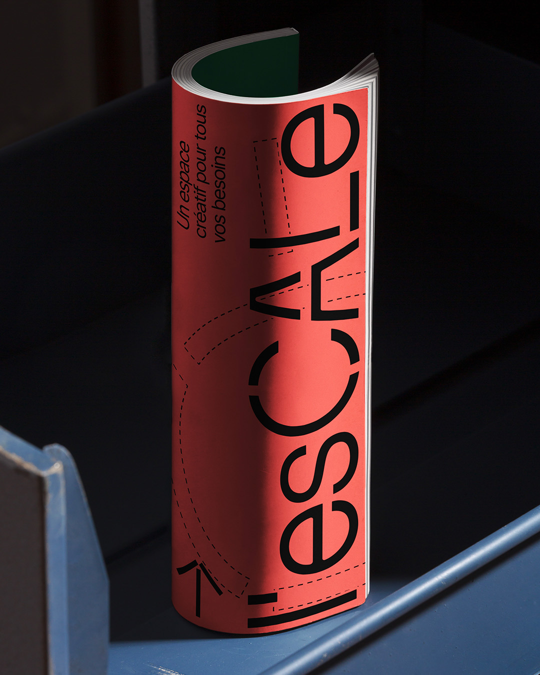 Description visuelle de ce que montre l'image