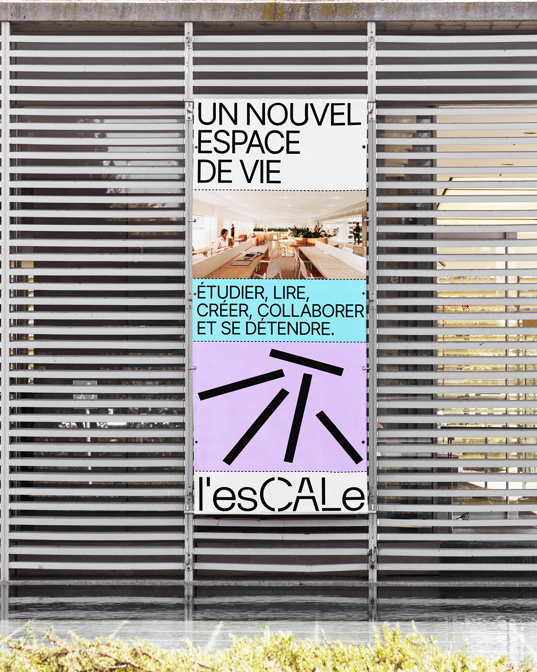 Description visuelle de ce que montre l'image