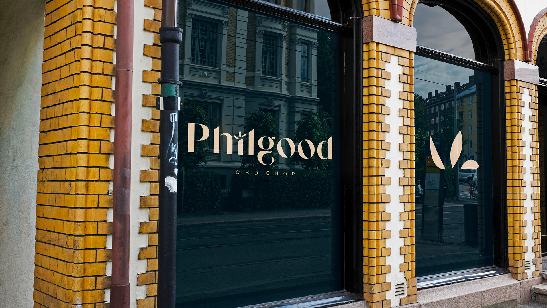 Description visuelle de ce que montre l'image