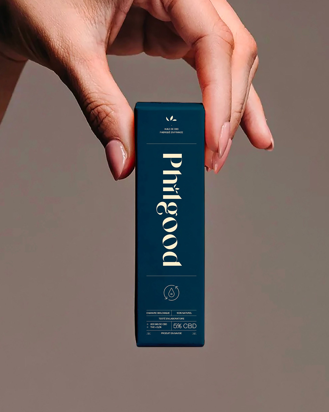 Description visuelle de ce que montre l'image