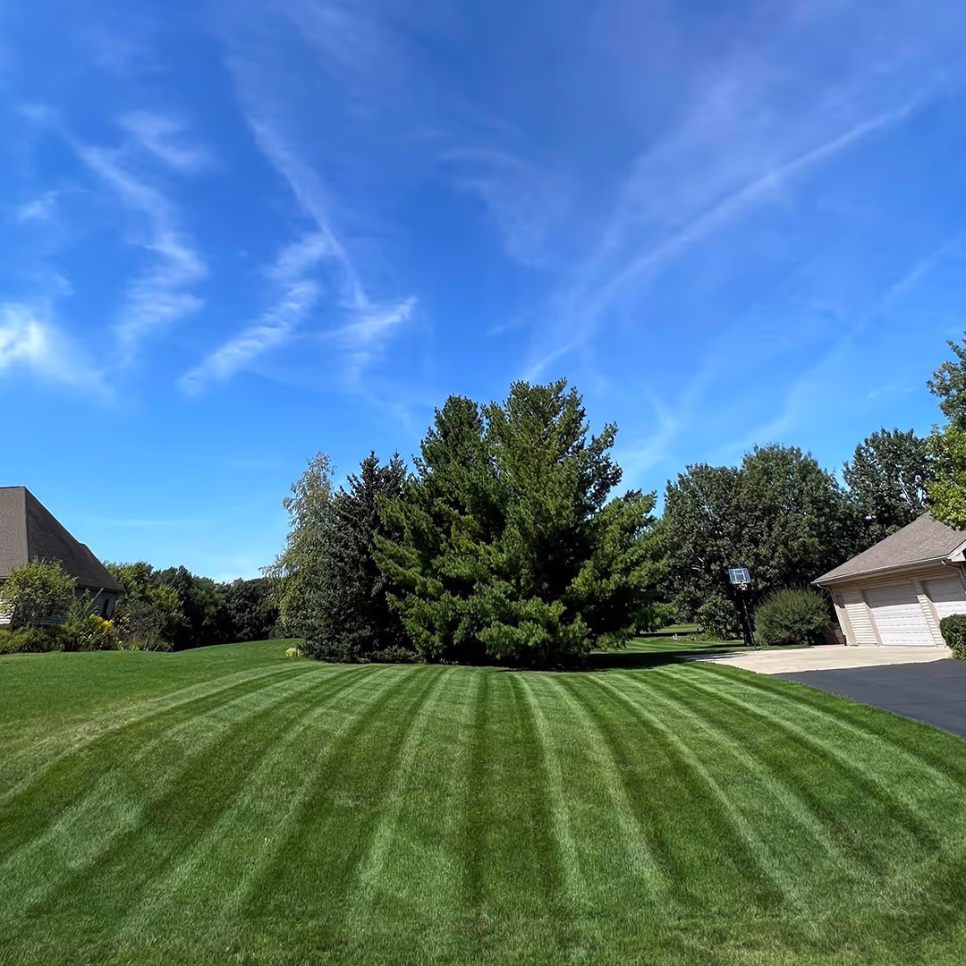 Weekly lawn care creating clean mowing stripes near me