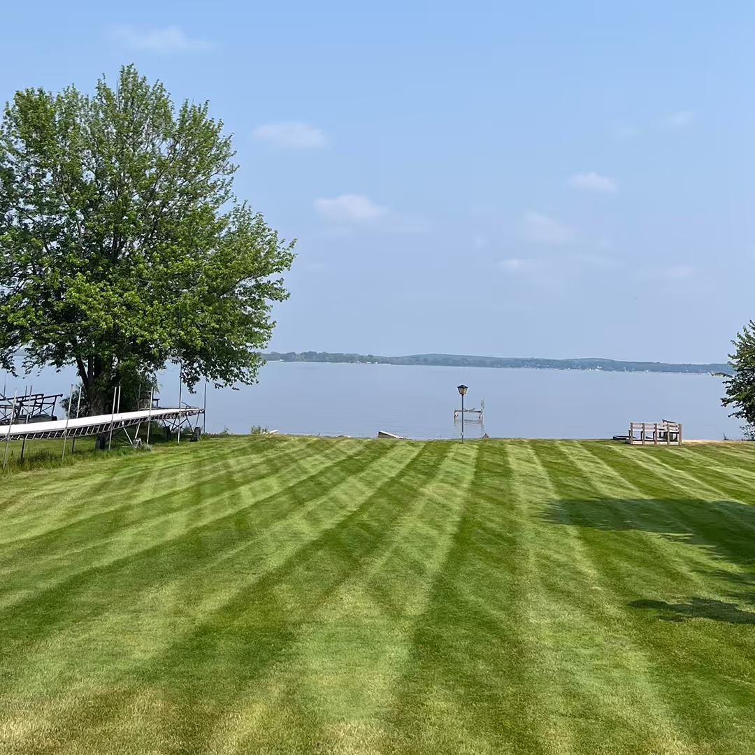Lawn mowing results with bold stripes near me Yellow Birch Landscaping