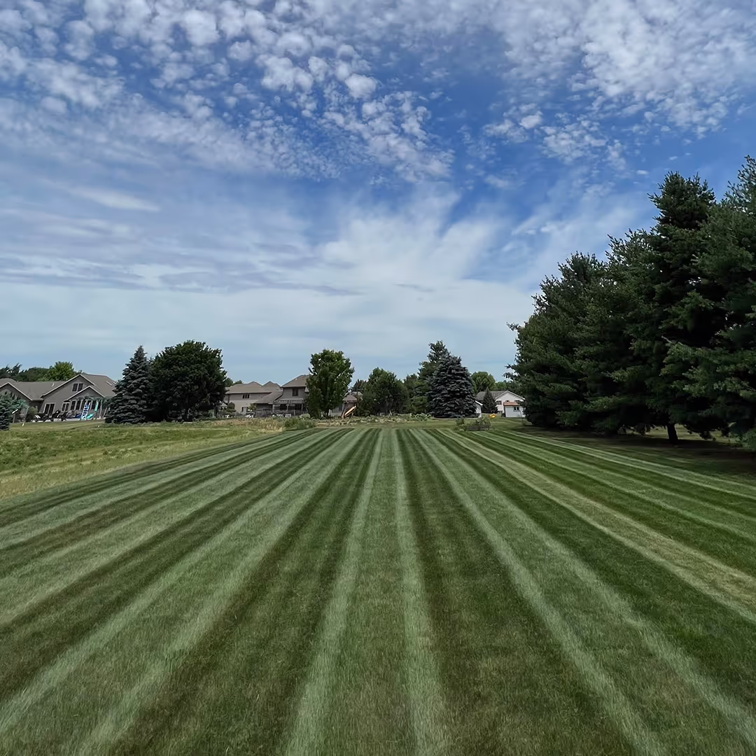 Professional lawn mowing with crisp stripes near me in Wisconsin