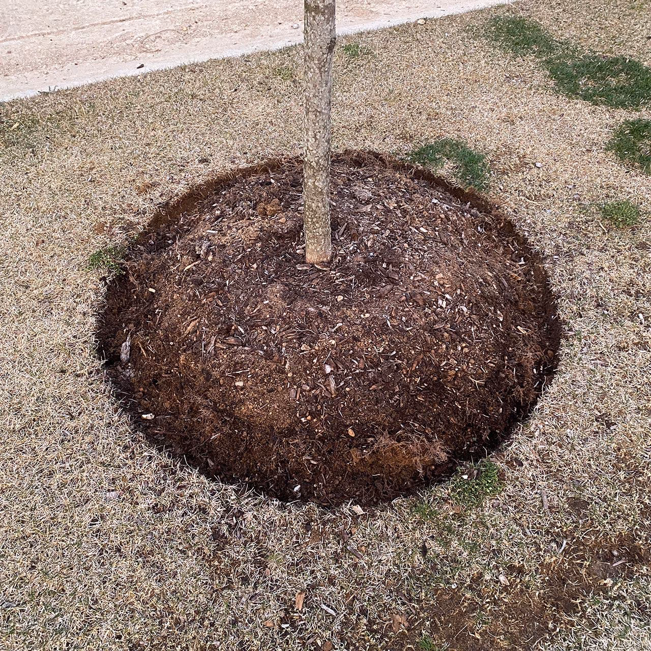 mulch installation landscaping service by SchopScape Lawn and Landscape