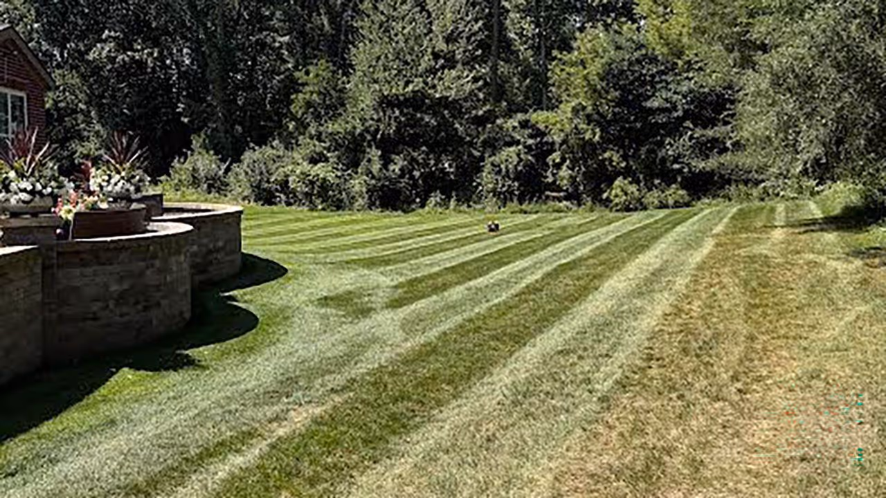 reliable lawn care maintenance with professional mowing and trimming near me.