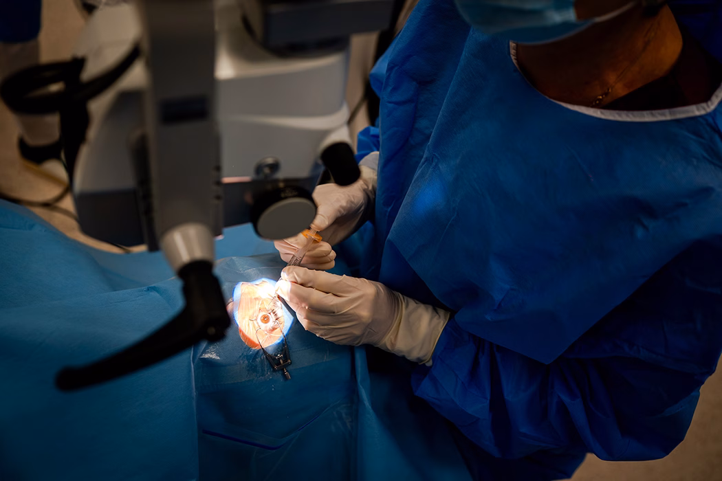 Injecții intravitreene, chirurgia conjunctivei, chirurgia pleoapelor