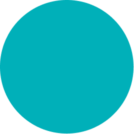Solid teal circular shape centered on a white background
