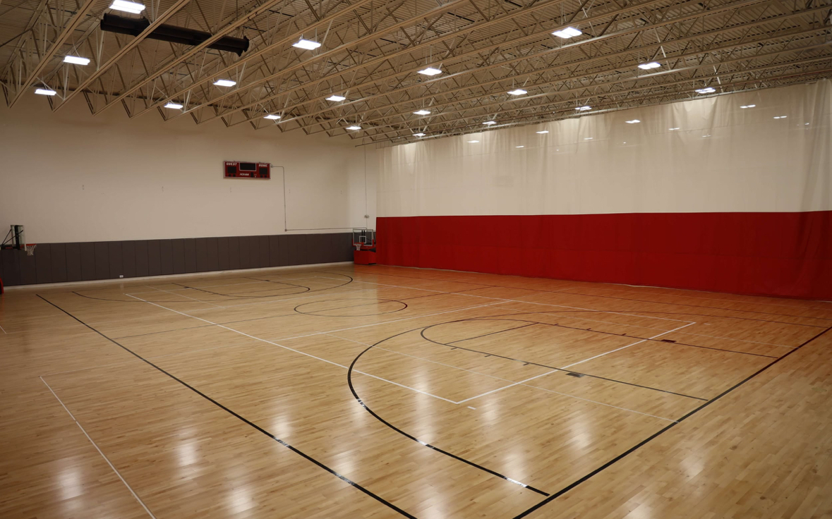 image of peaceful animal sanctuary