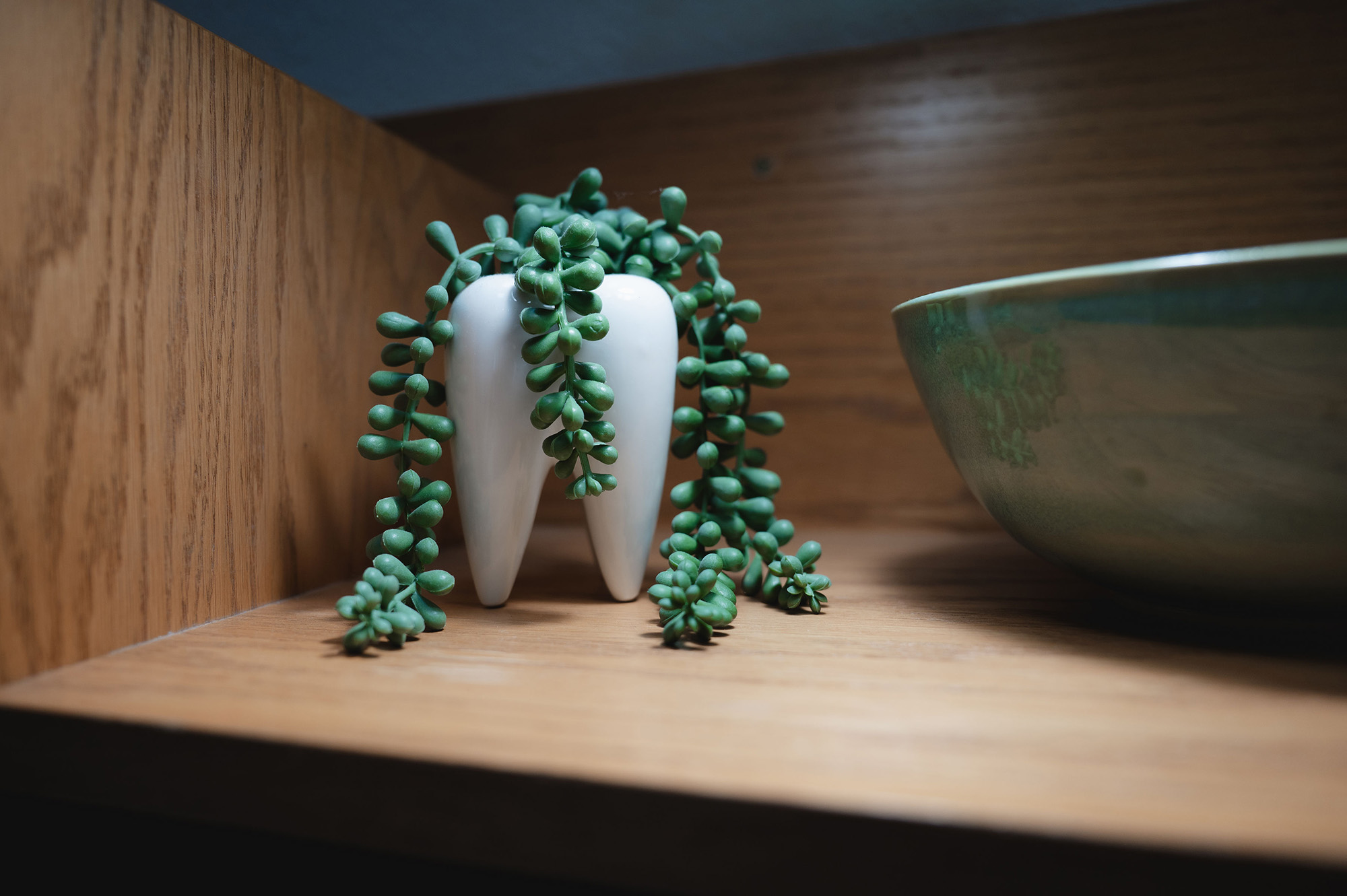 Small white tooth-shaped vase holding trailing green succulent on wooden shelf beside a green ceramic bowl.