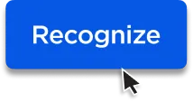 Blue rectangular button with white text 'Recognize' and a mouse cursor pointer on it.