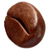 Angled side view of coffee bean