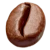 Coffee bean facing down