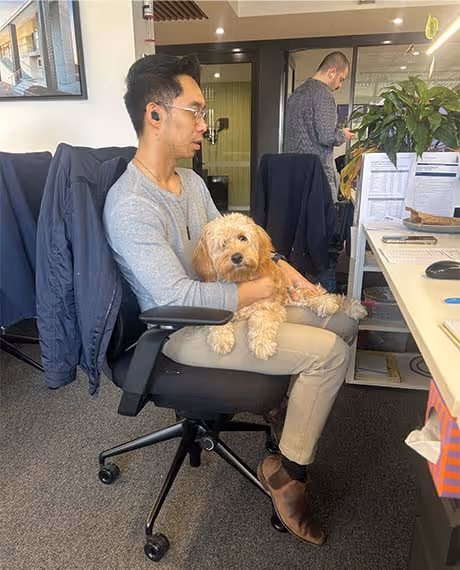 bring your dog to work day