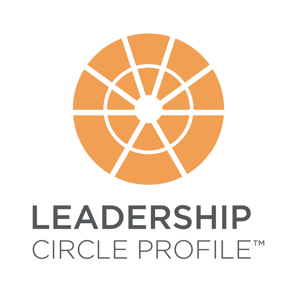 Orange segmented circular logo above the text Leadership Circle Profile.