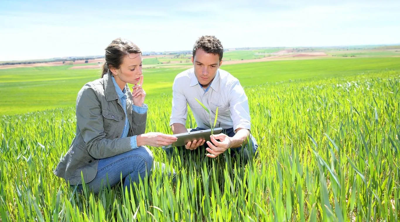 What is an agriculture business loan