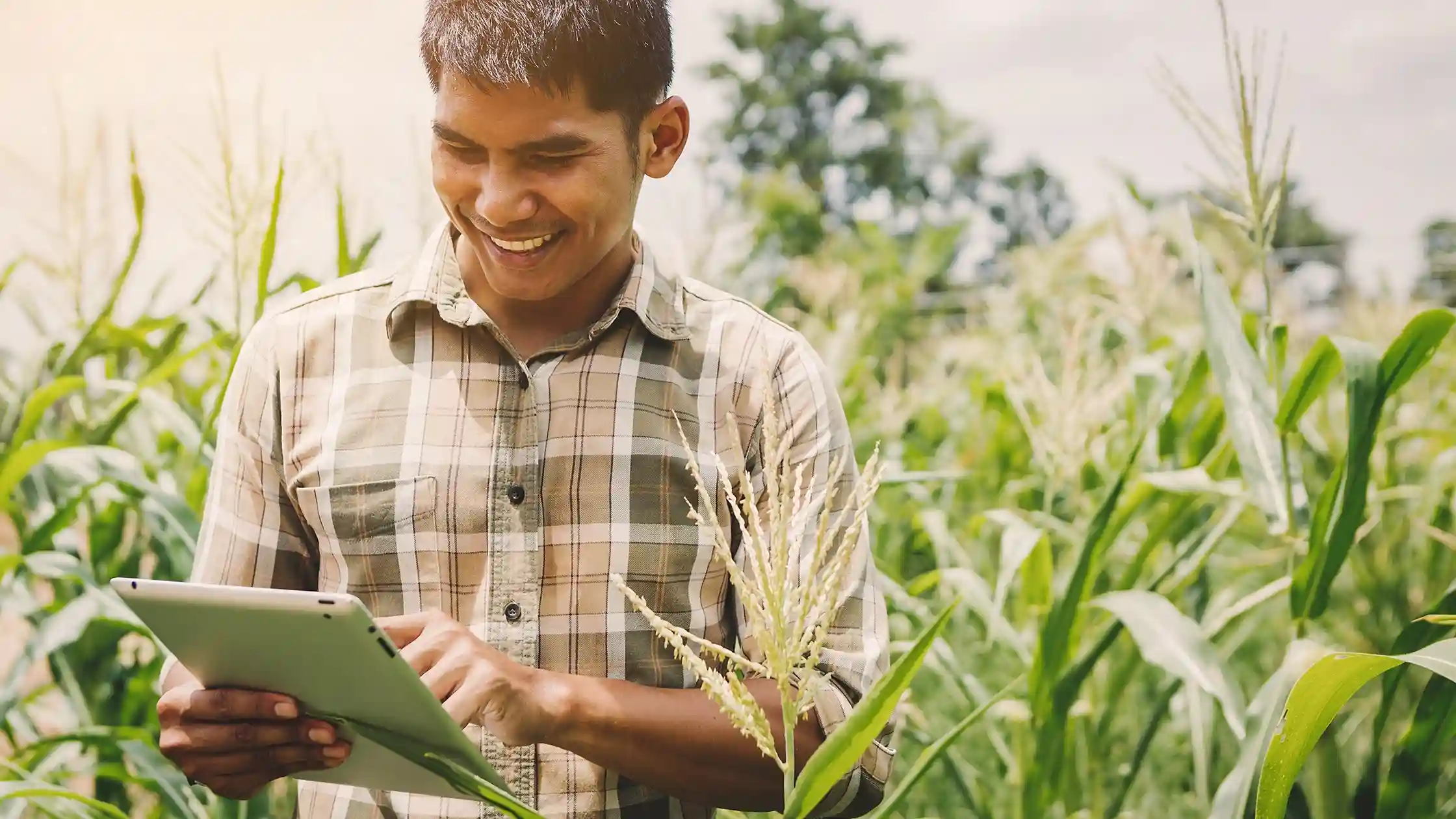  Smiling farmer uses a tablet to research types of agriculture business loans.