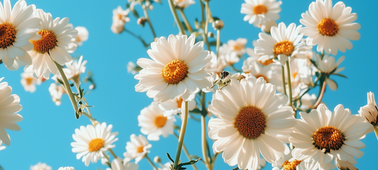 Blog Details Main Image