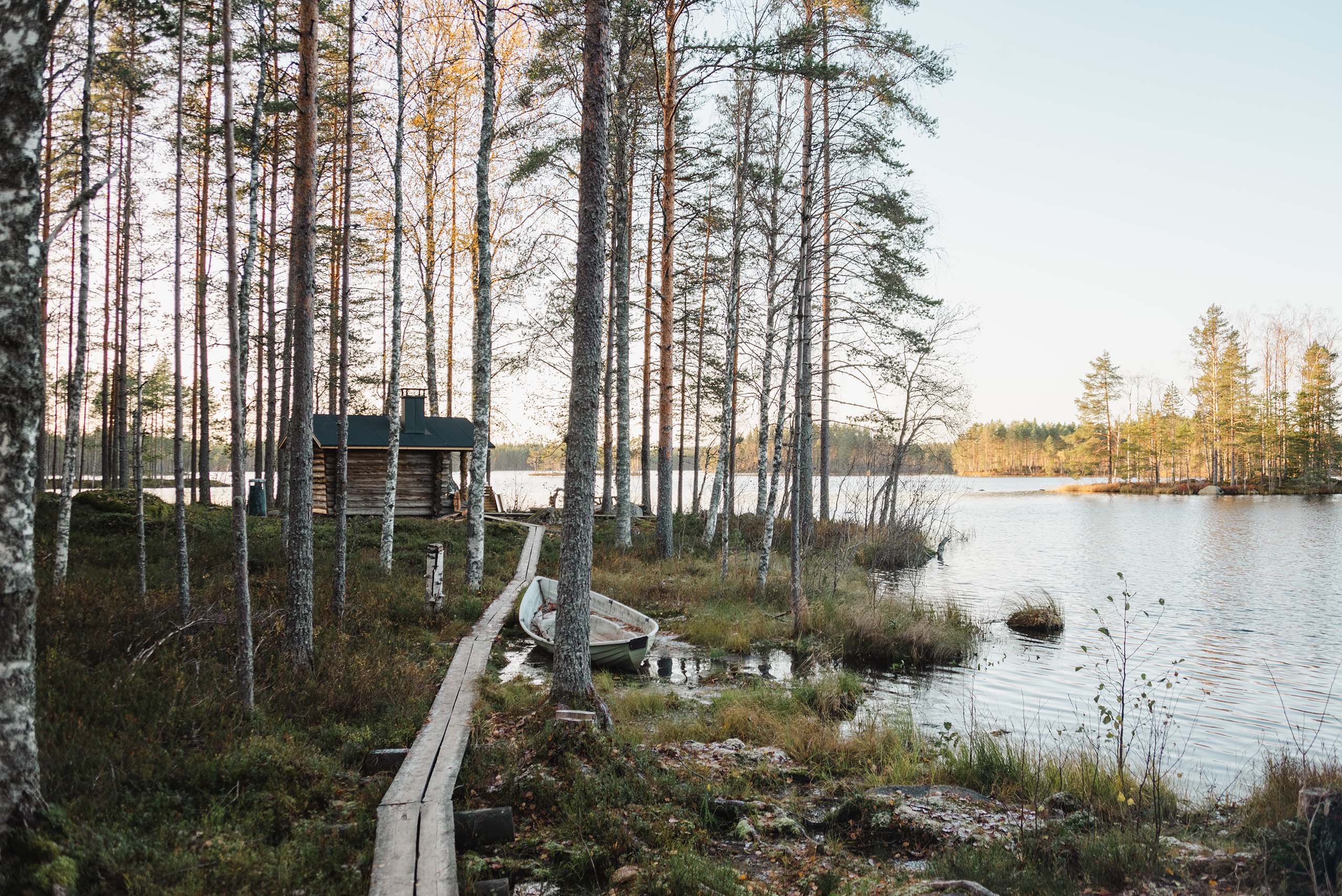 Wooden cabin near a lake surrounded by birch trees with a narrow wooden path and a small boat on the shore.