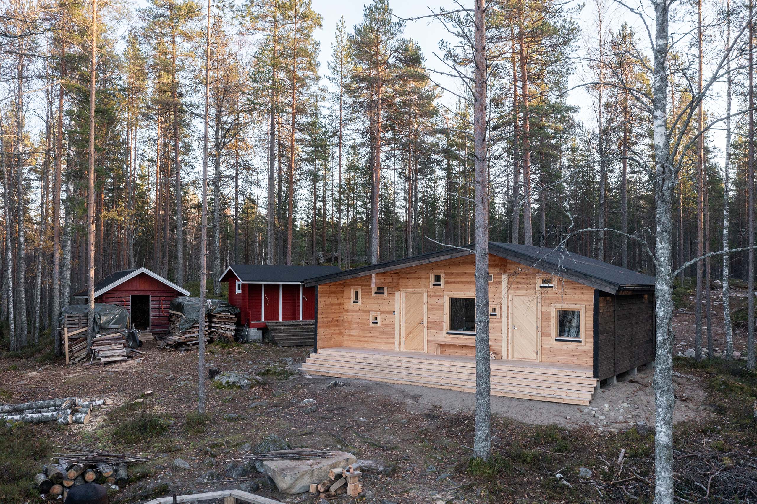 New wooden cabin with stairs in front of dense pine forest, next to two smaller red wooden sheds with stacks of firewood.