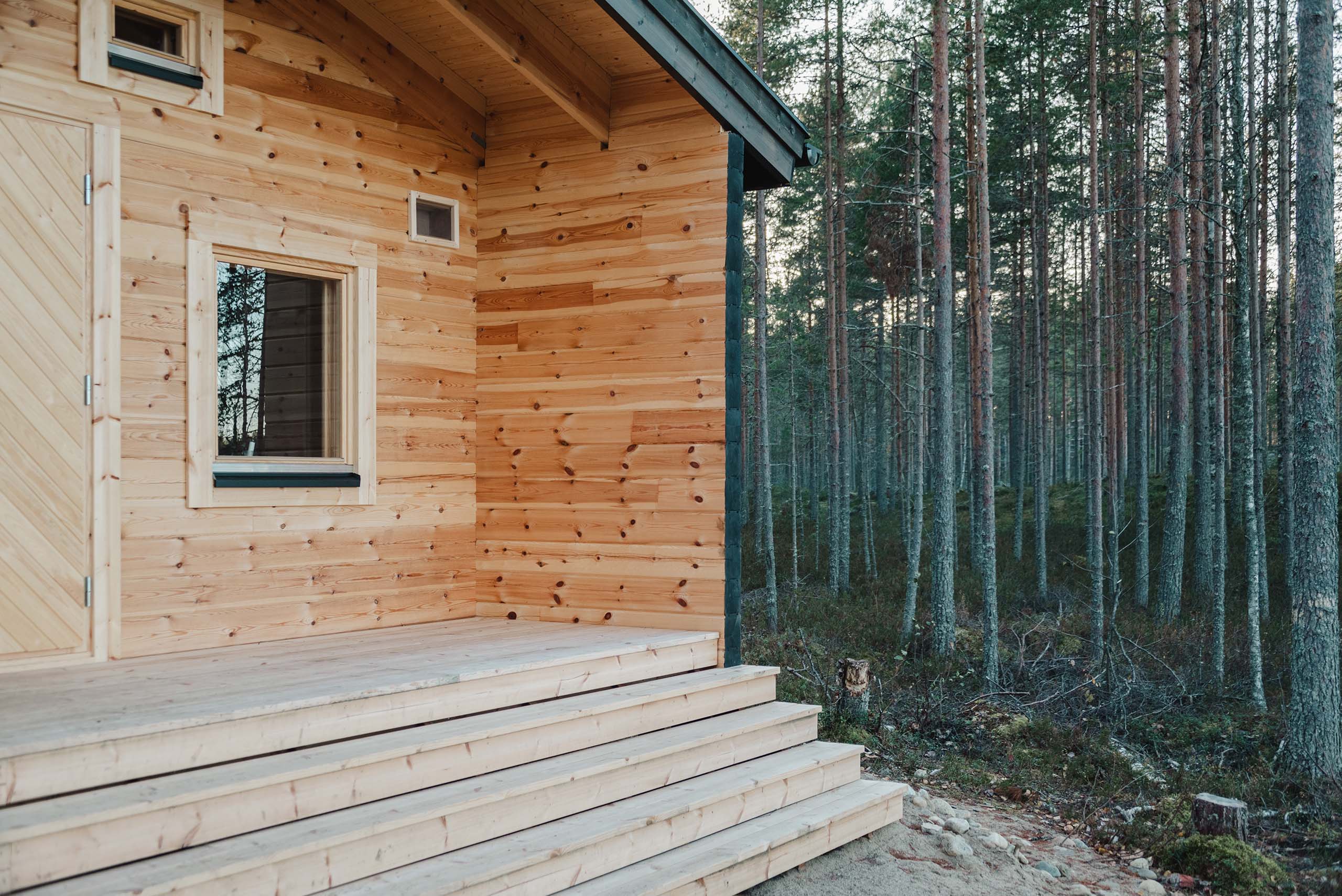 Wooden porch with stairs leading to a cabin surrounded by a dense pine forest.
